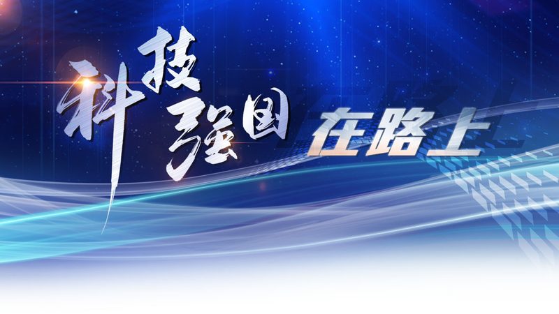 数据湖与AI平台技术架构：构建智能时代的基石